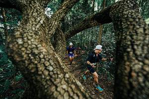 BIB: 
                            <button type="button" onclick="openModal(25392654)" class="btn btn-primary btn-sm float-right btn-popup" data-toggle="modal" data-target=".modal-high-quality">
                        <i class="fas fa-shopping-cart"></i> Add to Cart
                    </button>
                                            <button type="button" onclick="isThisMe(25392654, true)" class="btn btn-success btn-sm float-right btn-popup btn-isme hidden" data-toggle="tooltip" data-placement="bottom" title="นี่คือรูปของคุณใช่ไหม คลิกที่นี่เพื่อเอาเข้าอัลบั้ม">
                        <i class="fas fa-plus"></i> Add to album
                    </button>
                    <button type="button" onclick="isThisMe(25392654, false)" class="btn btn-warning btn-sm float-right btn-popup btn-isnotme hidden">
                        <i class="fas fa-ban"></i> Remove from album
                    </button>